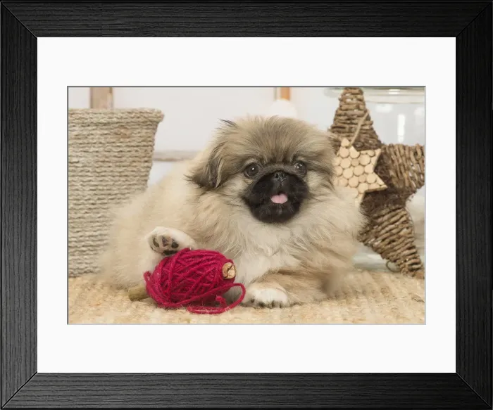 Framed Print : Picture No. 12019330 Framed Print : Picture No. 12019330