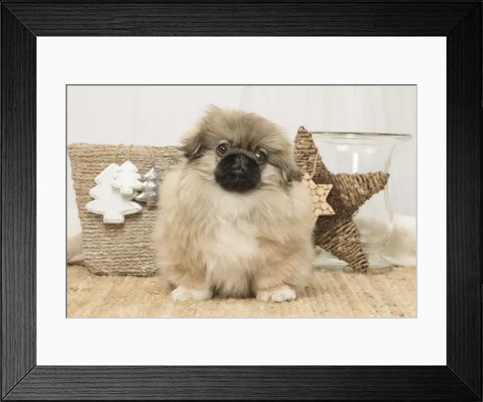 Framed Print : Picture No. 12019333 Framed Print : Picture No. 12019333