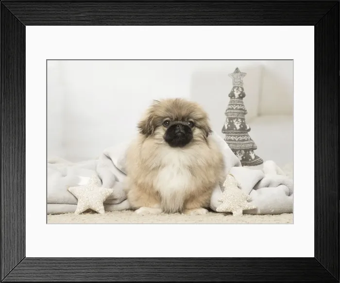 Framed Print : Picture No. 12019341 Framed Print : Picture No. 12019341