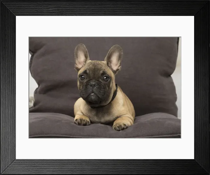 Framed Print : Picture No. 12019346 Framed Print : Picture No. 12019346