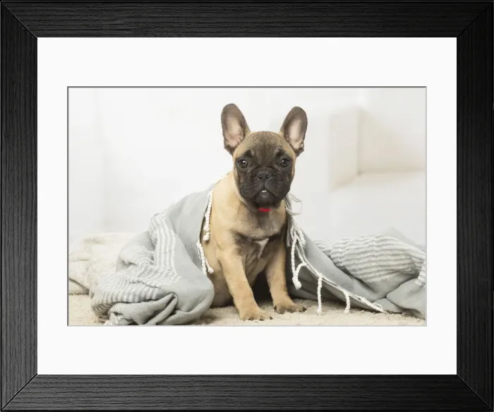 Framed Print : Picture No. 12019351 Framed Print : Picture No. 12019351