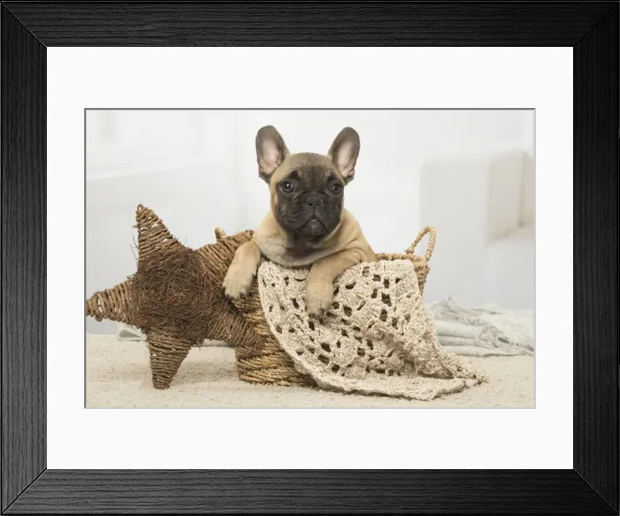 Framed Print : Picture No. 12019353 Framed Print : Picture No. 12019353