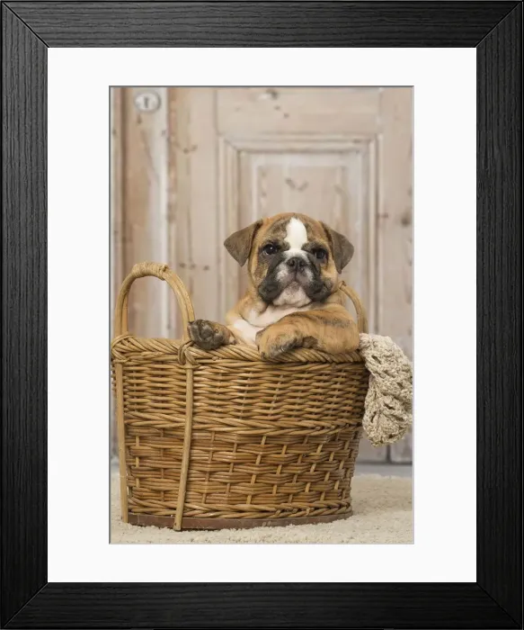 Framed Print : Picture No. 12019385 Framed Print : Picture No. 12019385