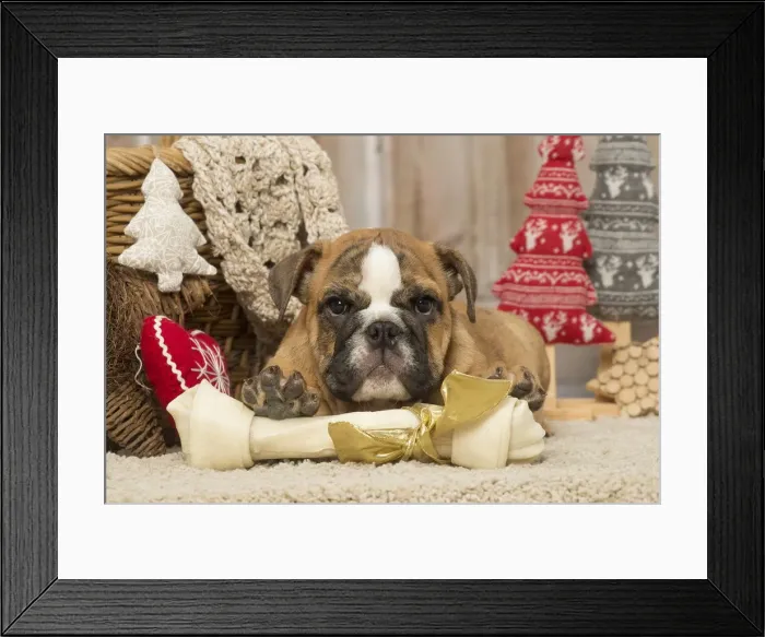 Framed Print : Picture No. 12019387 Framed Print : Picture No. 12019387