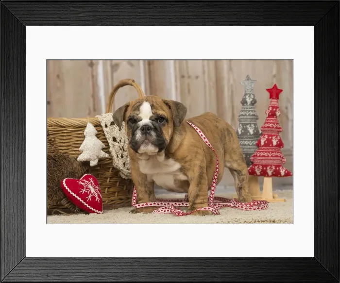 Framed Print : Picture No. 12019388 Framed Print : Picture No. 12019388