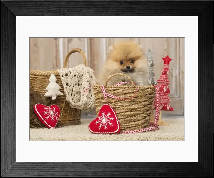 Framed Print : Picture No. 12019390 Framed Print : Picture No. 12019390