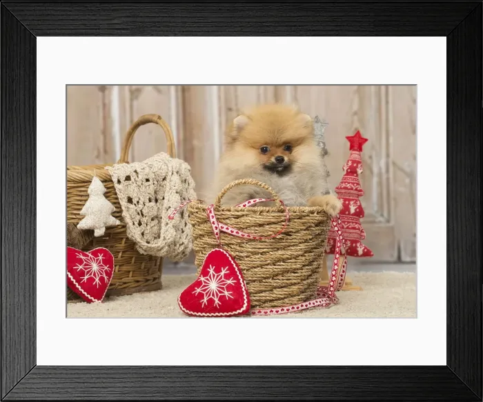 Framed Print : Picture No. 12019391 Framed Print : Picture No. 12019391