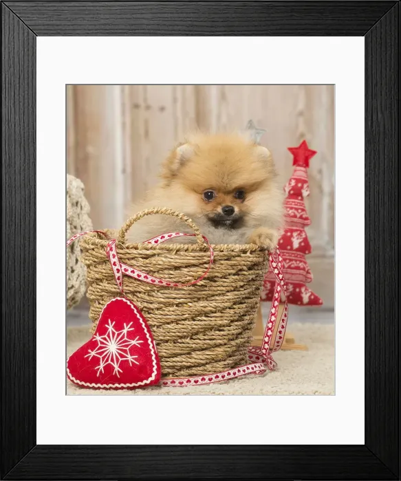 Framed Print : Picture No. 12019392 Framed Print : Picture No. 12019392