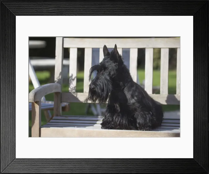 Framed Print : Picture No. 12019447 Framed Print : Picture No. 12019447