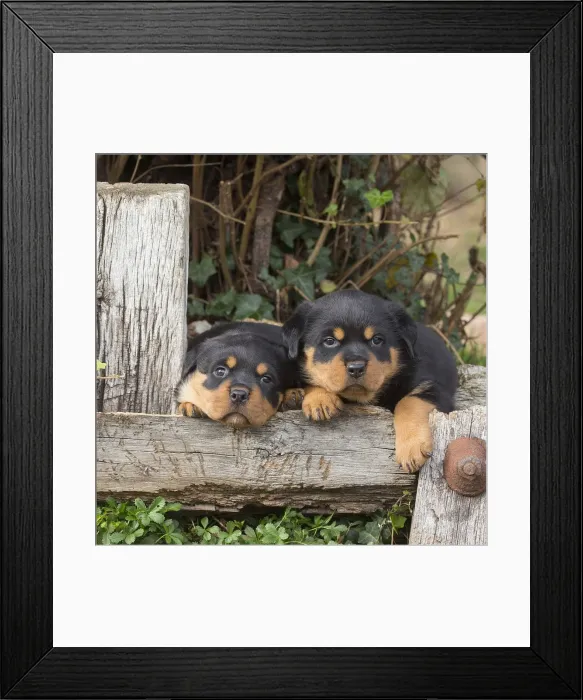 Framed Print : Picture No. 12019530 Framed Print : Picture No. 12019530