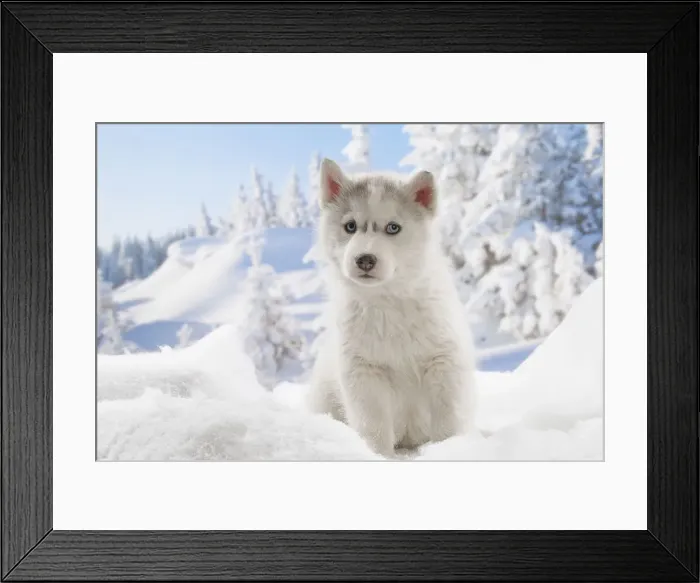 Framed Print : Picture No. 12019886 Framed Print : Picture No. 12019886