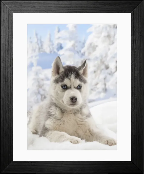 Framed Print : Picture No. 12019896 Framed Print : Picture No. 12019896