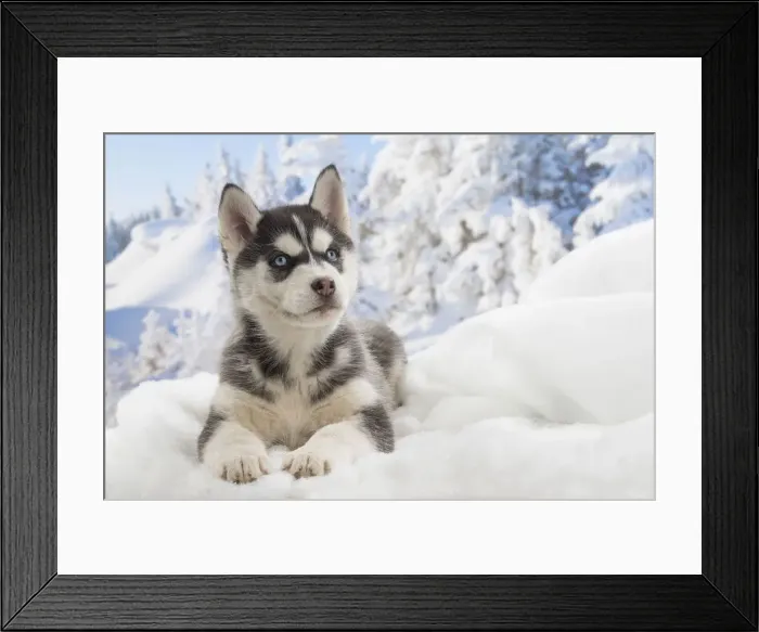 Framed Print : Picture No. 12019912 Framed Print : Picture No. 12019912