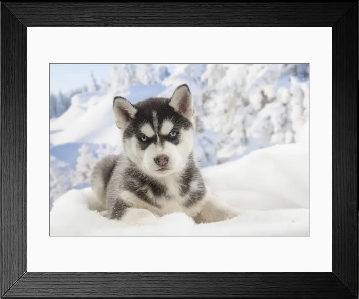 Framed Print : Picture No. 12019914 Framed Print : Picture No. 12019914