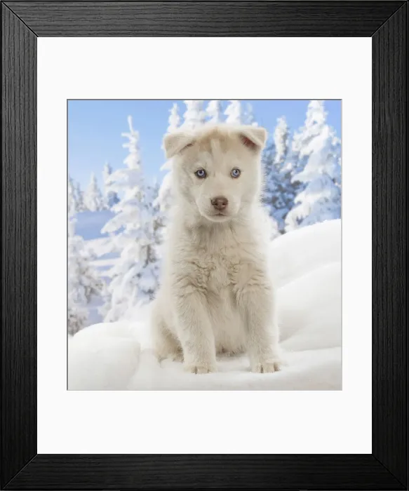 Framed Print : Picture No. 12019918 Framed Print : Picture No. 12019918