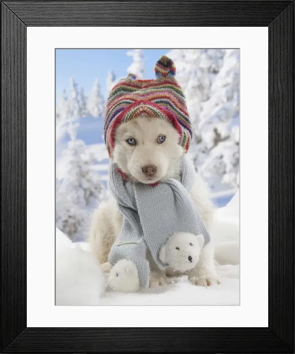 Framed Print : Picture No. 12019920 Framed Print : Picture No. 12019920