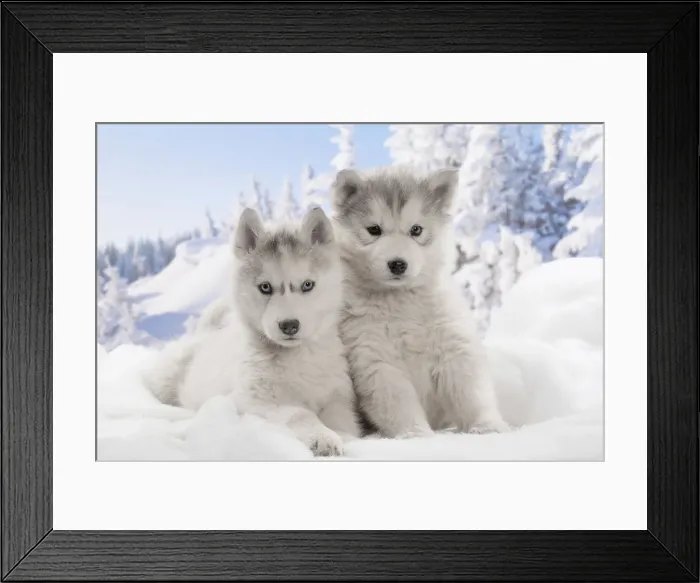 Framed Print : Picture No. 12019922 Framed Print : Picture No. 12019922