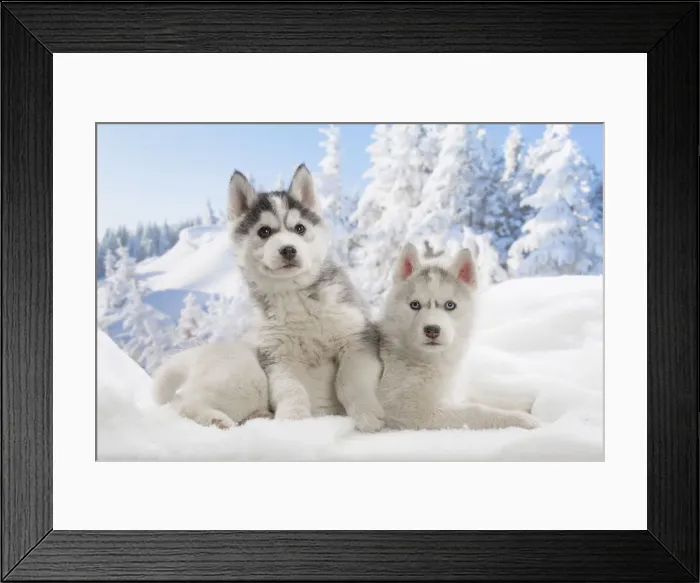 Framed Print : Picture No. 12019923 Framed Print : Picture No. 12019923