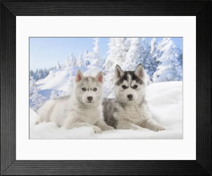 Framed Print : Picture No. 12019924 Framed Print : Picture No. 12019924