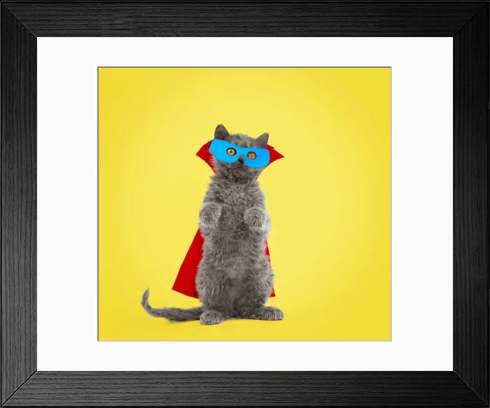 Framed Print : Picture No. 12020056 Framed Print : Picture No. 12020056