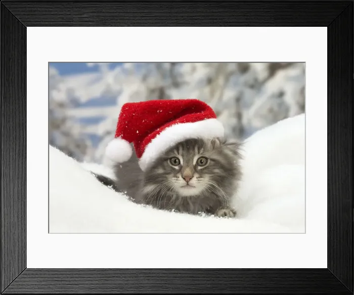 Framed Print : Picture No. 12020073 Framed Print : Picture No. 12020073