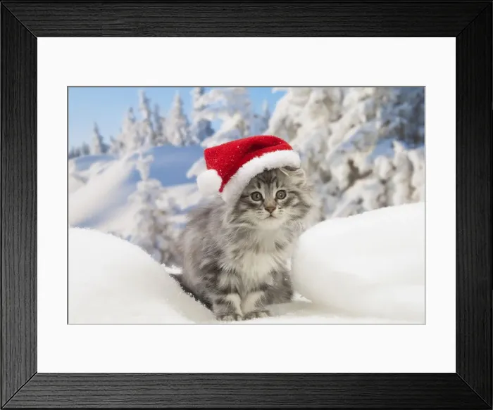 Framed Print : Picture No. 12020083 Framed Print : Picture No. 12020083