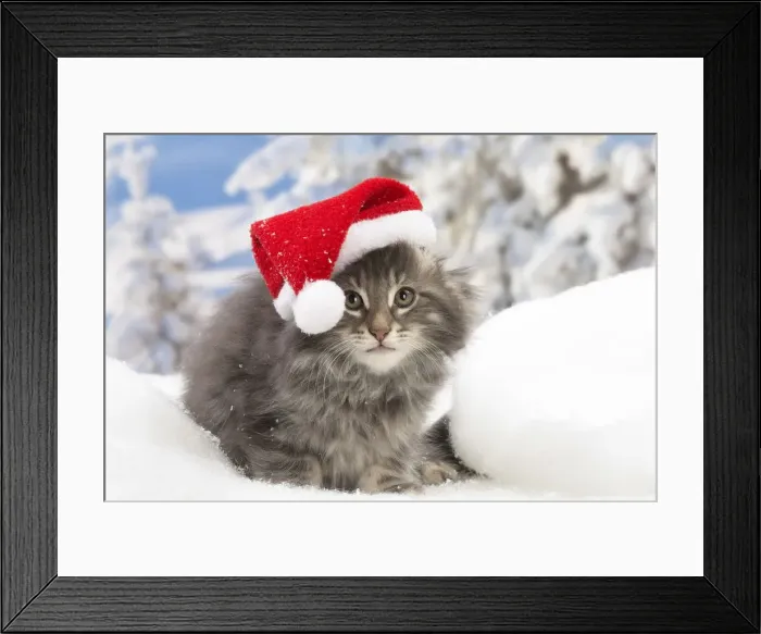 Framed Print : Picture No. 12020087 Framed Print : Picture No. 12020087