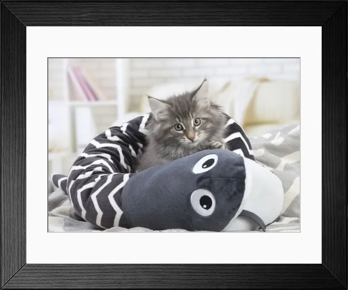 Framed Print : Picture No. 12020100 Framed Print : Picture No. 12020100