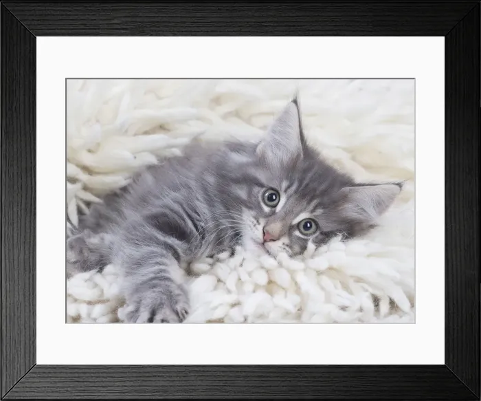 Framed Print : Picture No. 12020107 Framed Print : Picture No. 12020107