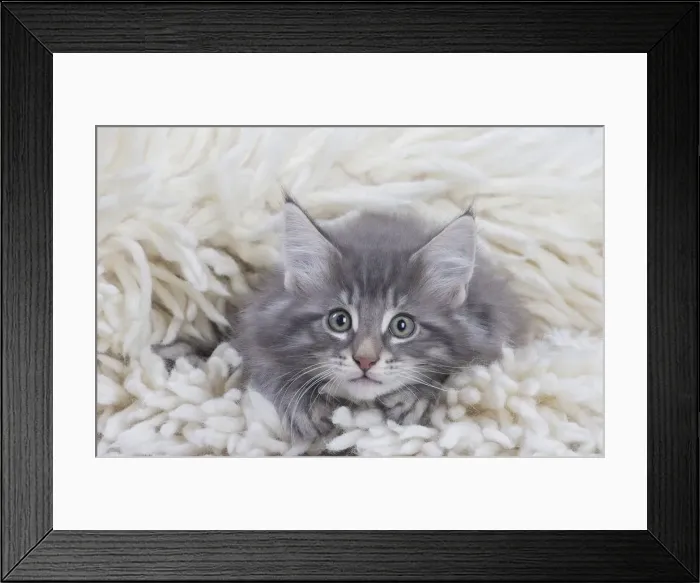 Framed Print : Picture No. 12020108 Framed Print : Picture No. 12020108