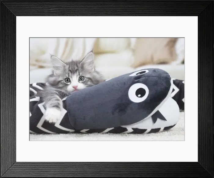 Framed Print : Picture No. 12020113 Framed Print : Picture No. 12020113
