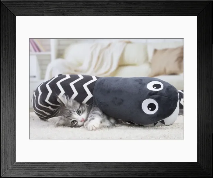 Framed Print : Picture No. 12020114 Framed Print : Picture No. 12020114