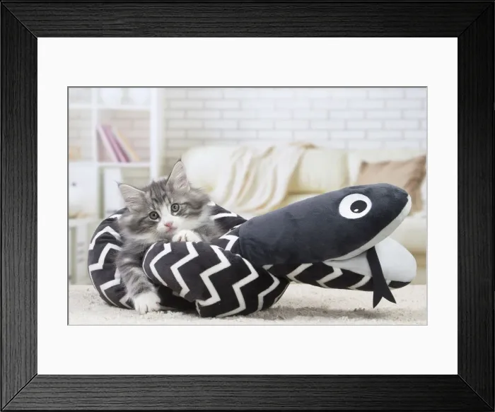 Framed Print : Picture No. 12020115 Framed Print : Picture No. 12020115