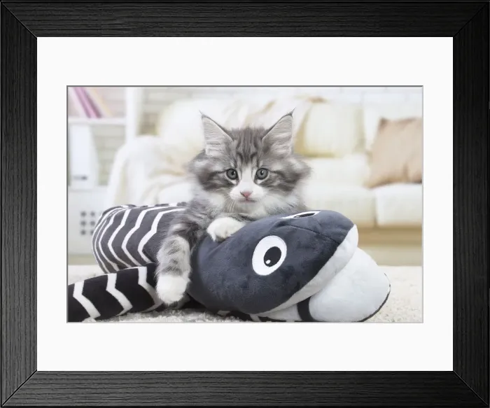 Framed Print : Picture No. 12020119 Framed Print : Picture No. 12020119