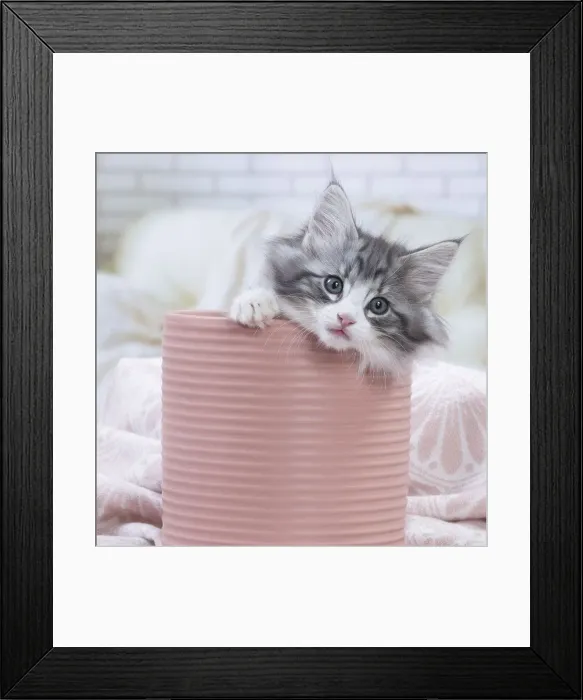 Framed Print : Picture No. 12020120 Framed Print : Picture No. 12020120