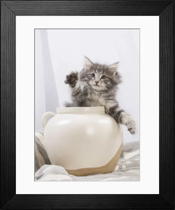 Framed Print : Picture No. 12020130 Framed Print : Picture No. 12020130