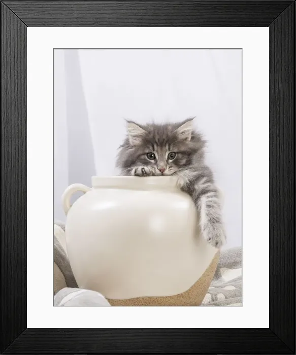 Framed Print : Picture No. 12020131 Framed Print : Picture No. 12020131