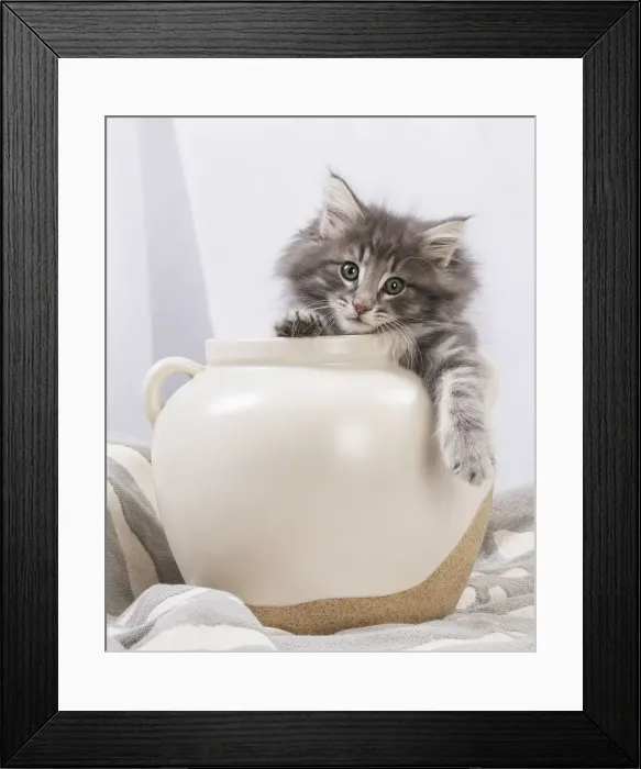 Framed Print : Picture No. 12020132 Framed Print : Picture No. 12020132