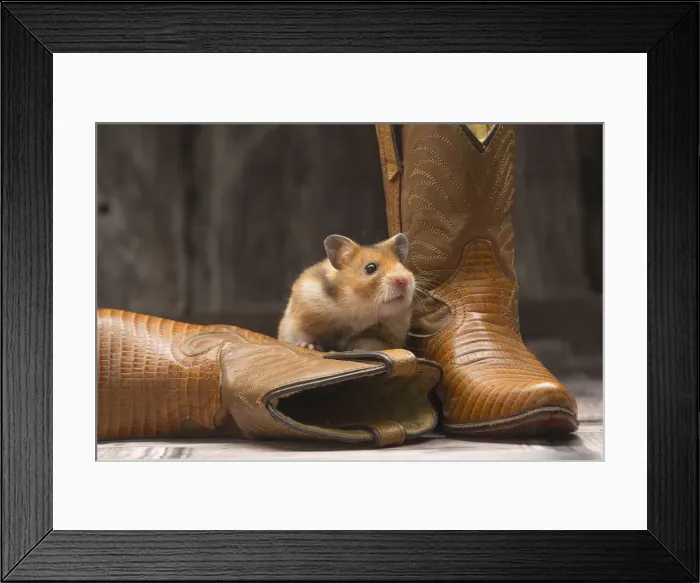 Framed Print : Picture No. 12020145 Framed Print : Picture No. 12020145