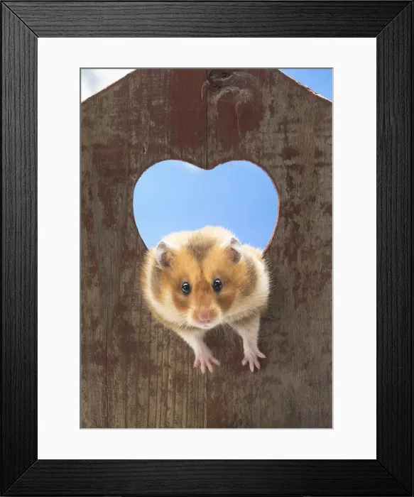 Framed Print : Picture No. 12020149 Framed Print : Picture No. 12020149