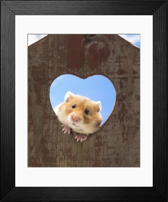 Framed Print : Picture No. 12020150 Framed Print : Picture No. 12020150