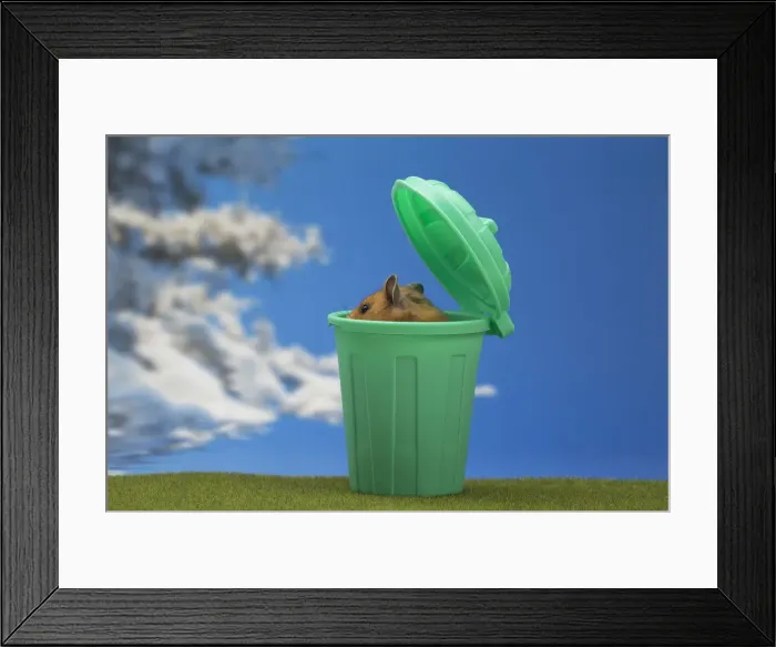 Framed Print : Picture No. 12020151 Framed Print : Picture No. 12020151