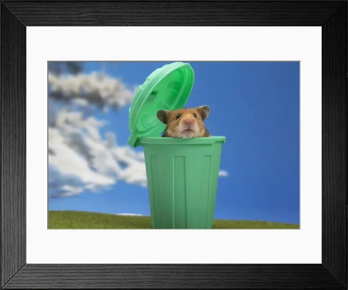 Framed Print : Picture No. 12020152 Framed Print : Picture No. 12020152