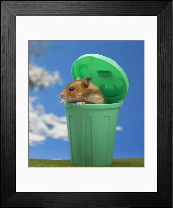 Framed Print : Picture No. 12020153 Framed Print : Picture No. 12020153