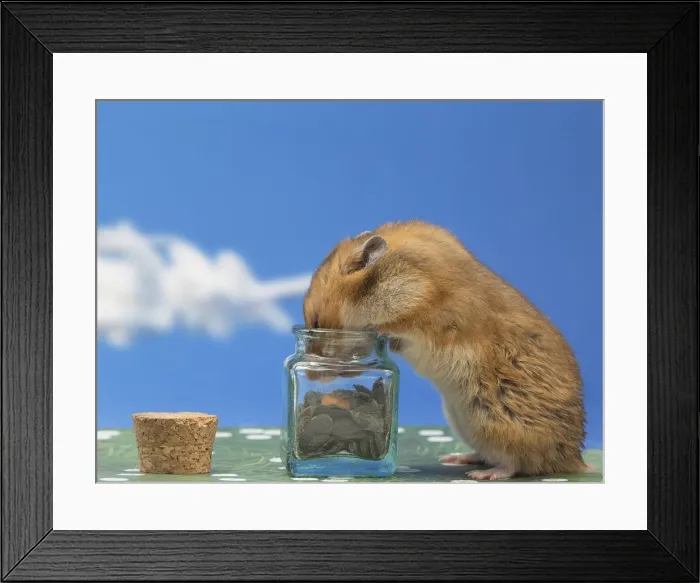 Framed Print : Picture No. 12020154 Framed Print : Picture No. 12020154