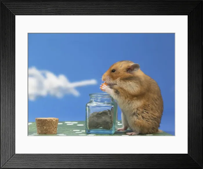 Framed Print : Picture No. 12020155 Framed Print : Picture No. 12020155