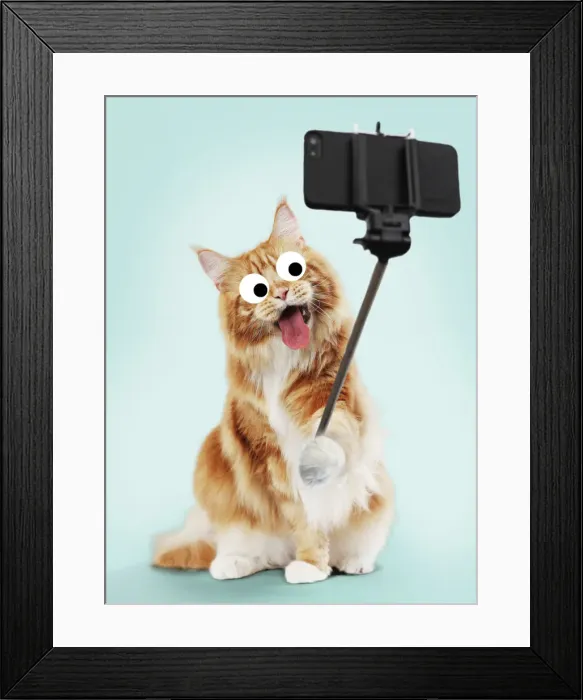 Framed Print : Picture No. 12020207 Framed Print : Picture No. 12020207