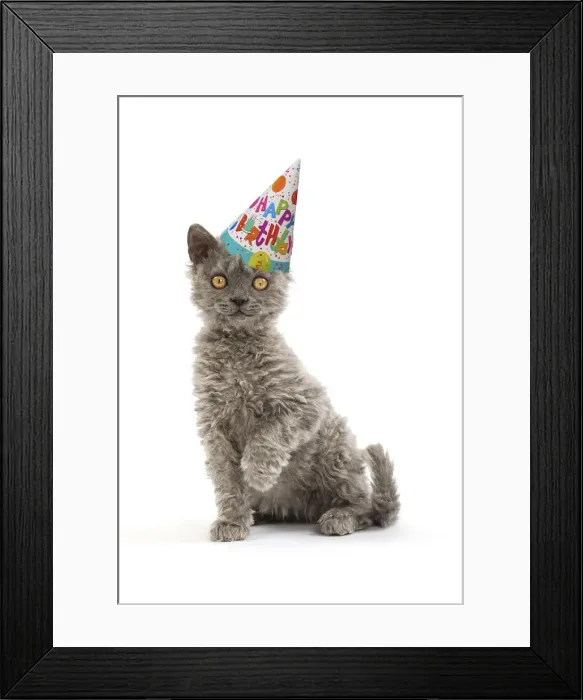 Framed Print : Picture No. 12020210 Framed Print : Picture No. 12020210
