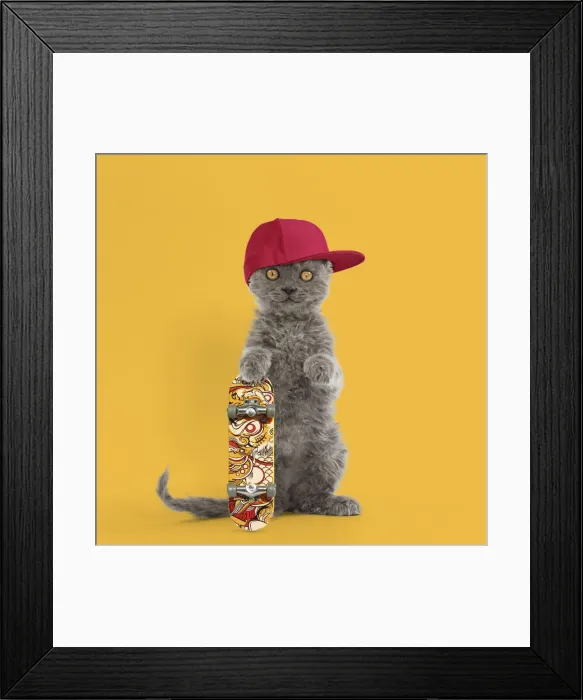 Framed Print : Picture No. 12020211 Framed Print : Picture No. 12020211