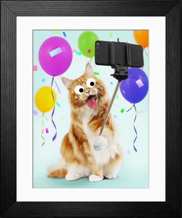 Framed Print : Picture No. 12020208 Framed Print : Picture No. 12020208